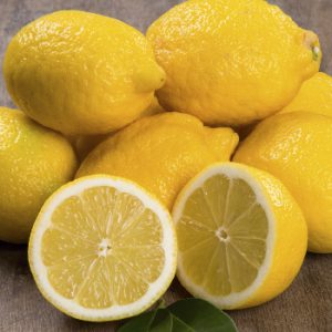 Citroni Primofiori