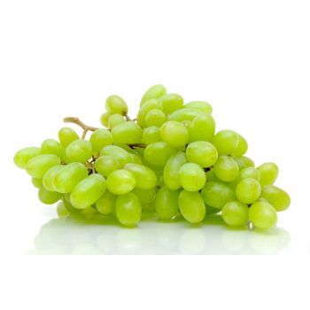 Vīnogas zaļās b/ k prime seedles Dienvidāfrika