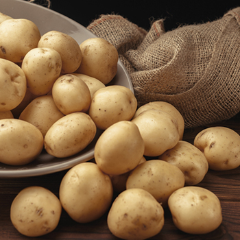 Kartupeļi jaunie