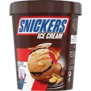 Saldējums Snickers Pinta 450ml/335g
