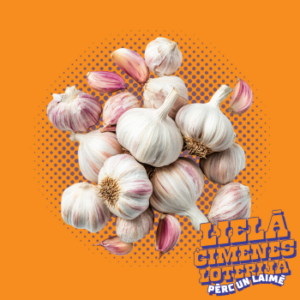 Ķiploki  2.šķ. Latvija