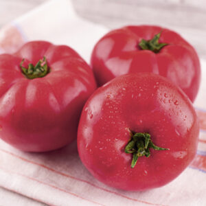 Tomāti Aveņu 2. šķ Spānija