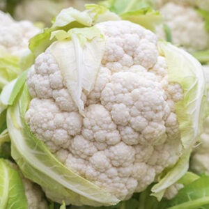 Ziedkāposti (gabali)2 šķ. Francija