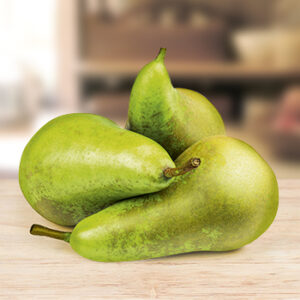 Bumbieri Conference 2šķ Nīderlande