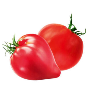 Tomāti vērša sirds 2.šķ.Spānija