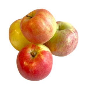 Āboli Champion 2šķ.Polija