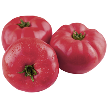 Large pink tomatoes with droplets of water. Fresh ripe vegetables on wooden table Tomāti Aveņu 2. šķ Spānija