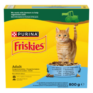Barība kaķiem Friskies sausā lasis 800g