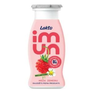 Piena produkts raudzēts Lakto meža zemeņu bez laktozes 100g